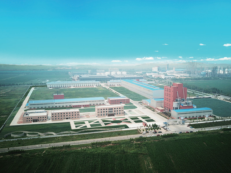 公司全景